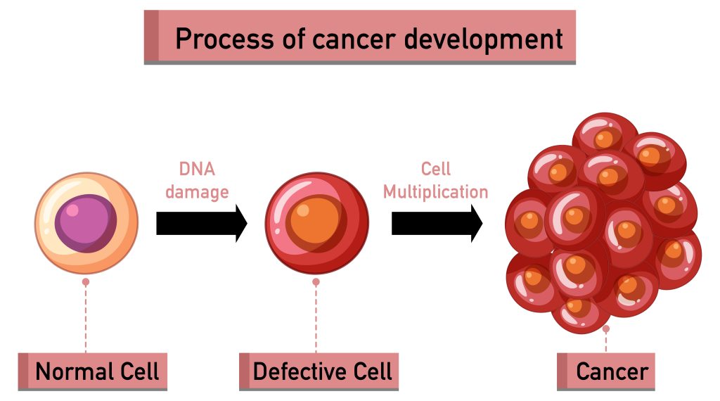 Process of cancer development