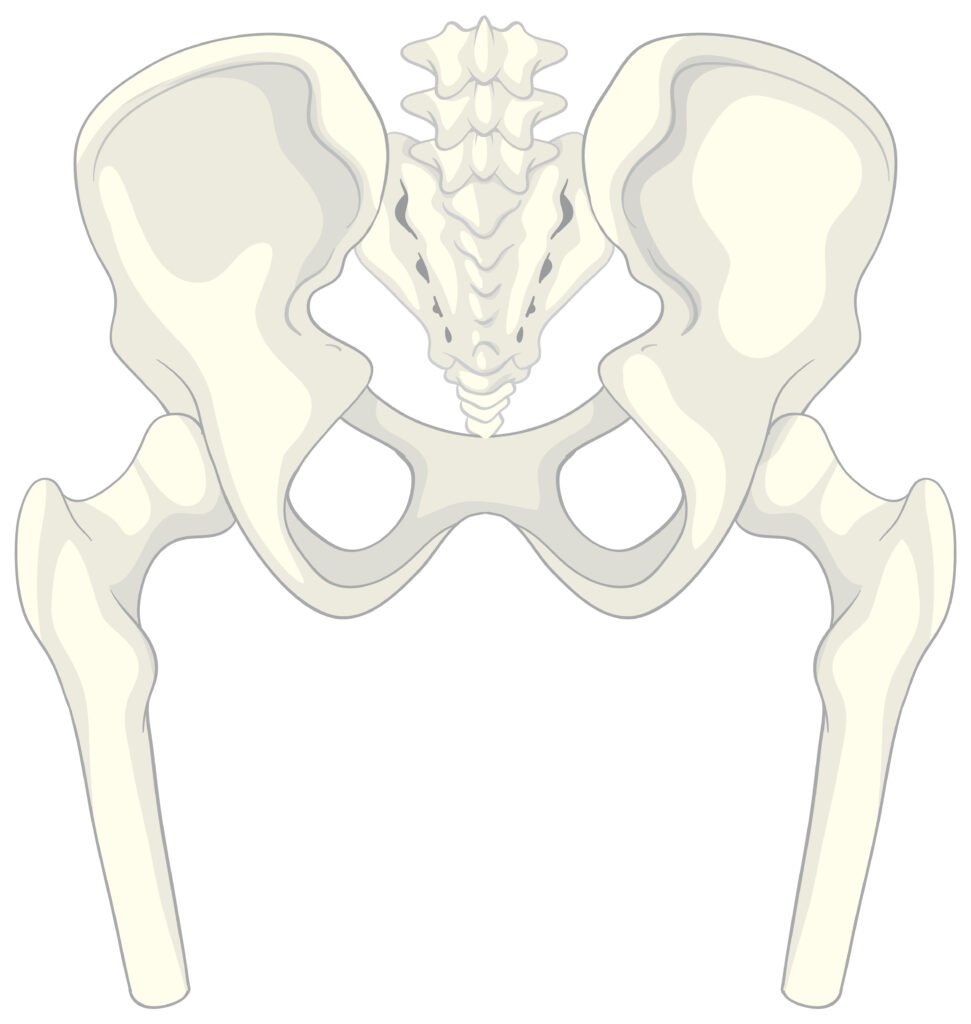 Hip Replacement Surgery Cost