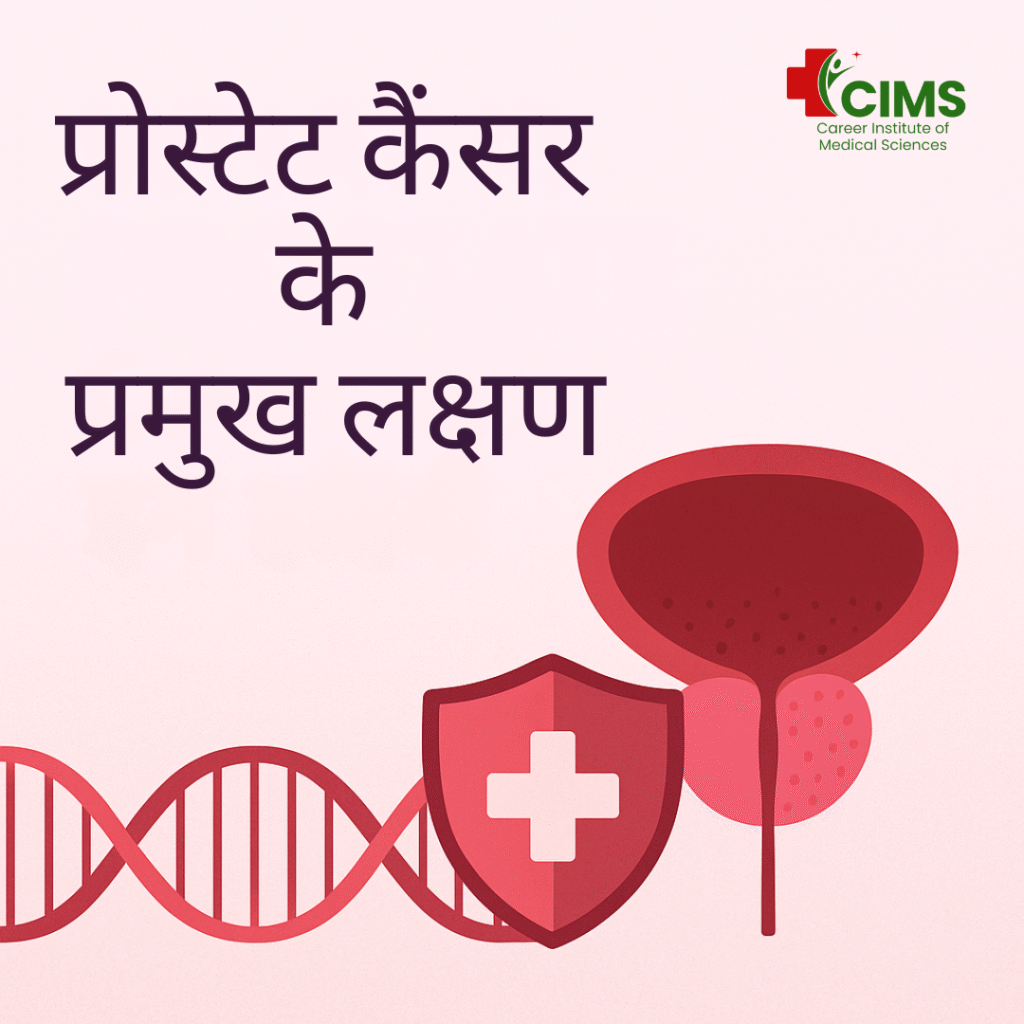 What is Prostate Cancer in Hindi