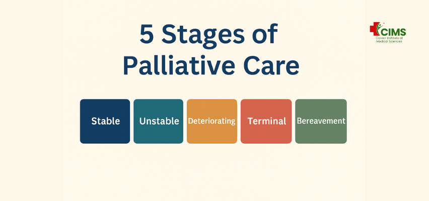 5 Stages of Palliative Care: A Detailed Guide for Patient and Family Care